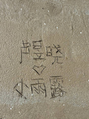 赶海小女子