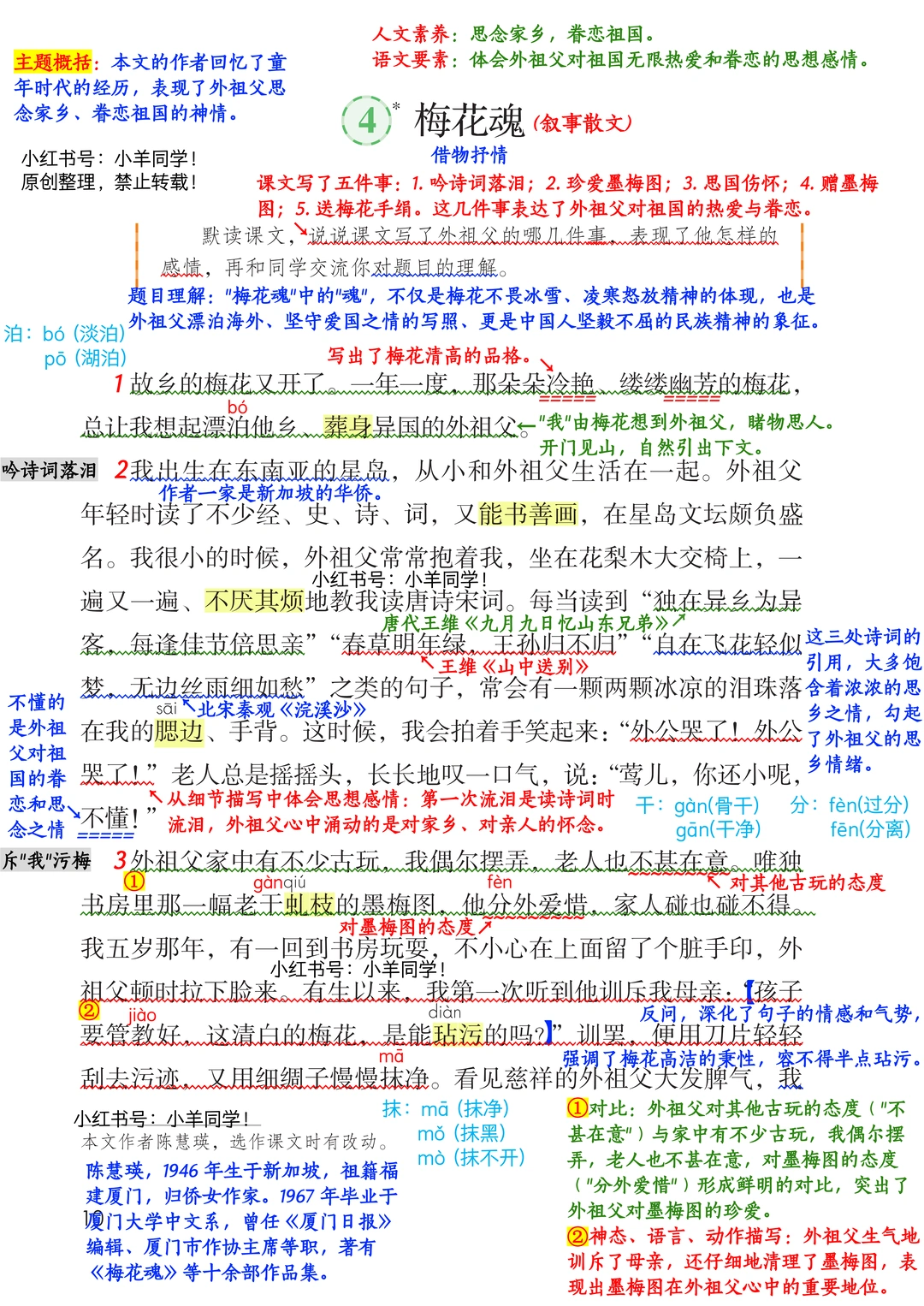 五年级下册丨第4课《梅花魂》语文笔记