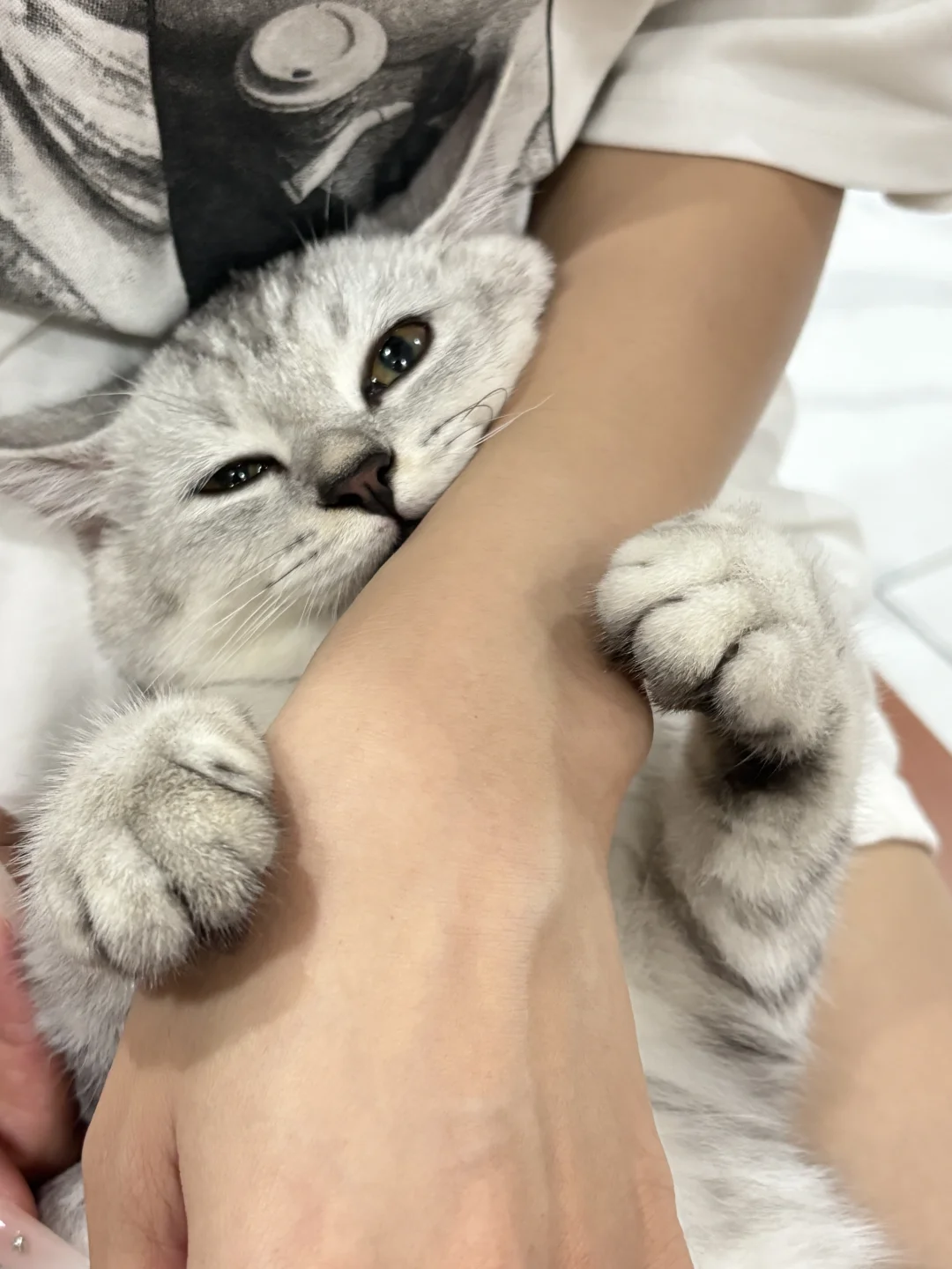 生理期到了咪就这么守护人💛