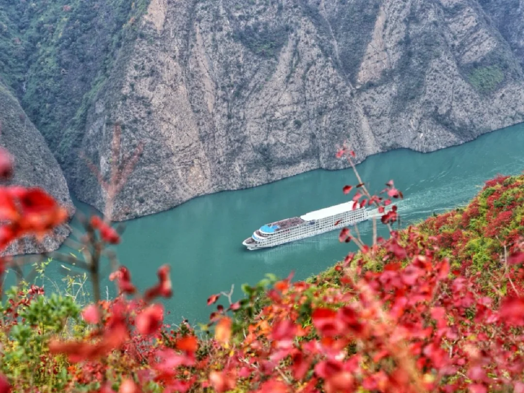 关于重庆，你们知道的不多！都说三峡的风景美，但是三峡风景在巫峡！巫峡作为重庆的另