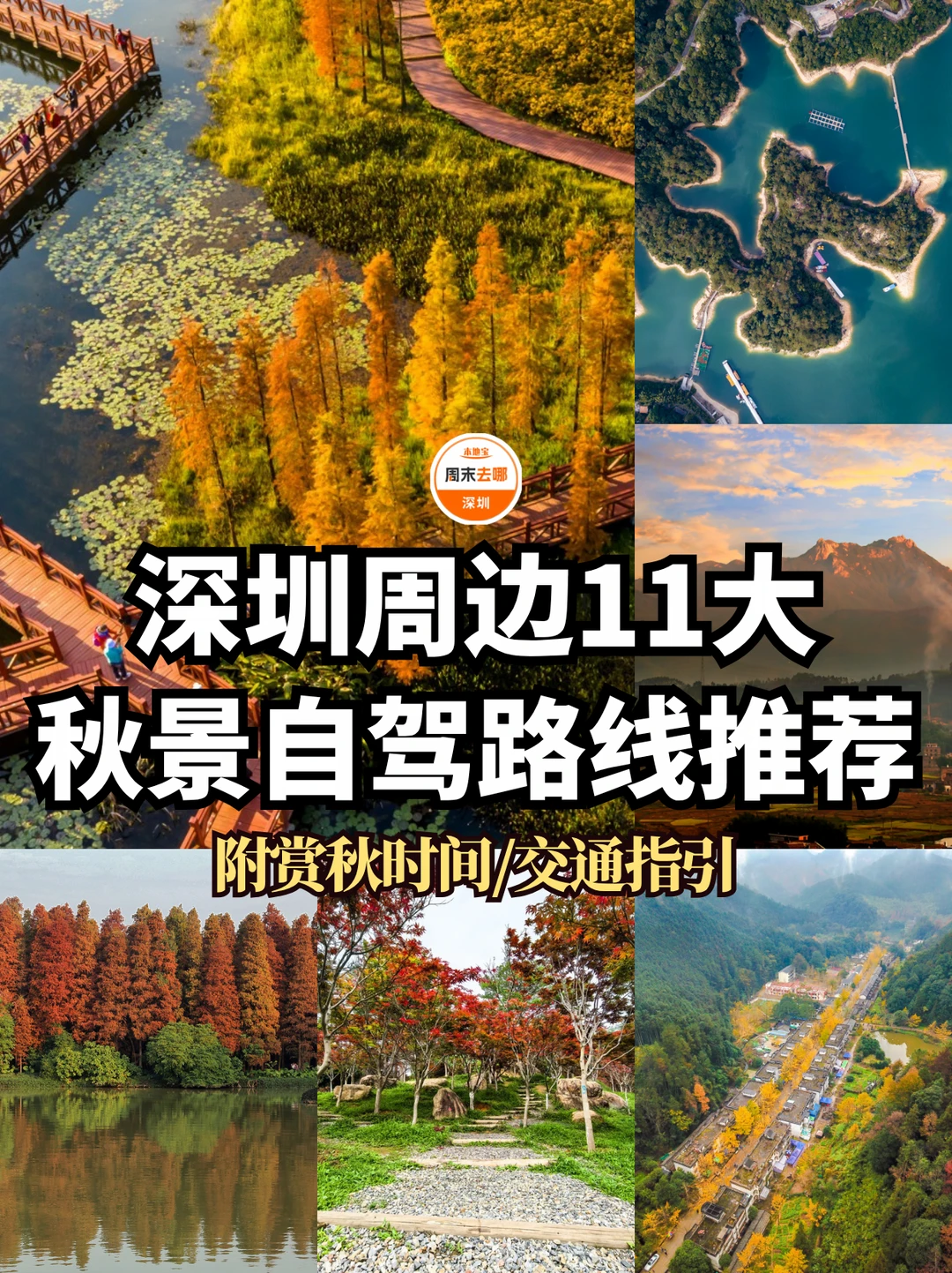 即将迎来秋天🍁深圳周边11大秋景自驾路线