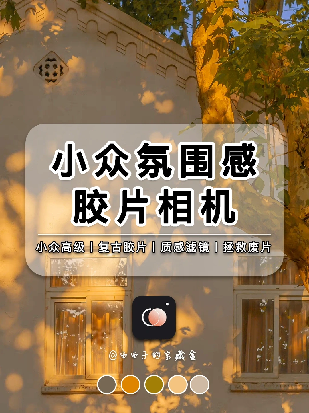 摄影师手机里的小众APP｜氛围感胶片自由