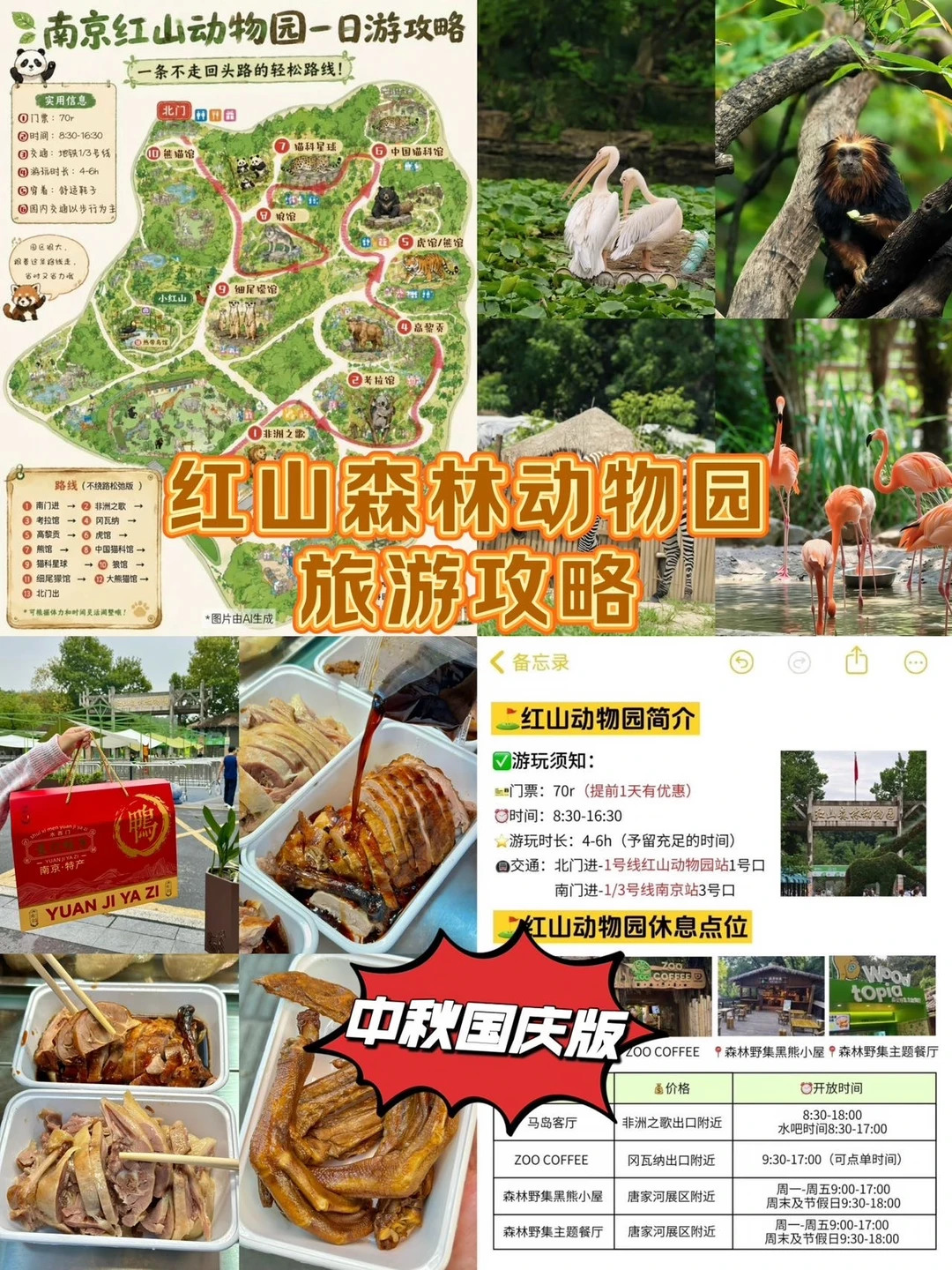 中秋国庆来南京｜红山森林动物园游玩攻略🐼