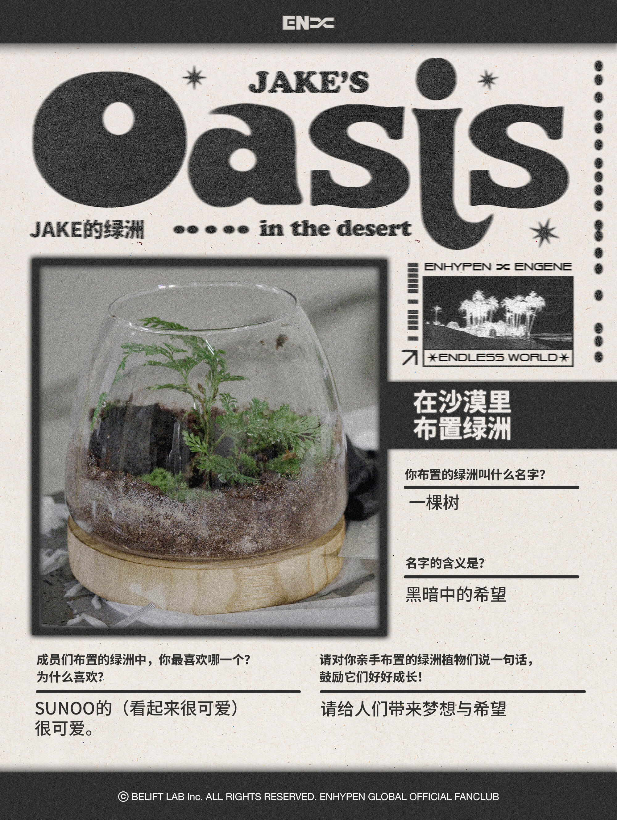 绿洲名字：一棵树 含义：黑暗中的希望  好喜欢这个寓意[拜托] ​​​