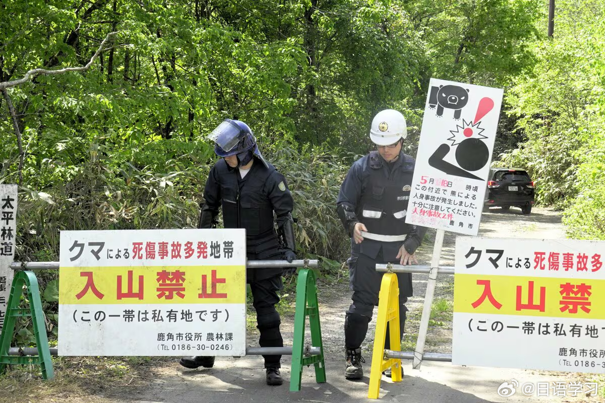 【#日本多地熊频繁闯入居民区#，学校遇袭无统一应对标准，校方判断警戒解除十分为难】

黑熊频繁闯入人类居住区，日本各地中小学接连遭遇临时停课、学生免作缺席处理的情况。

但全国缺少统一应对方针，各校只能摸索处置，最难判断危险何时解除。

依据日本文部科学省省令，出现灾害等紧急情况校长有权 ​