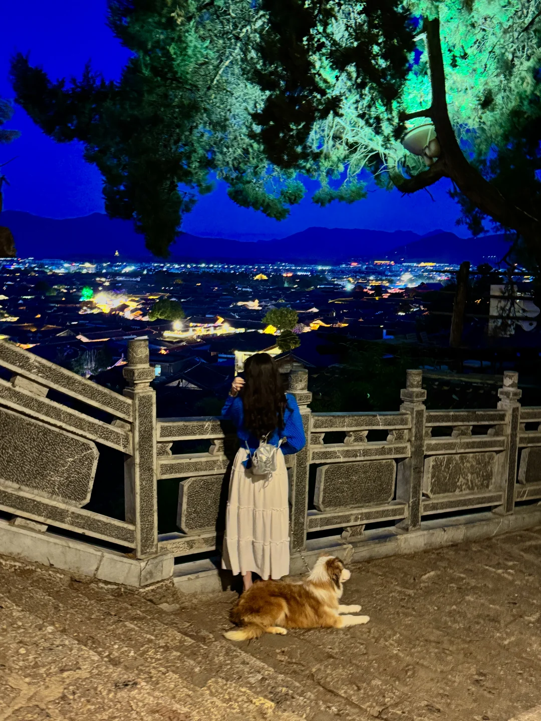7.8丽江蓝调时刻真的鲨疯了。。。。。