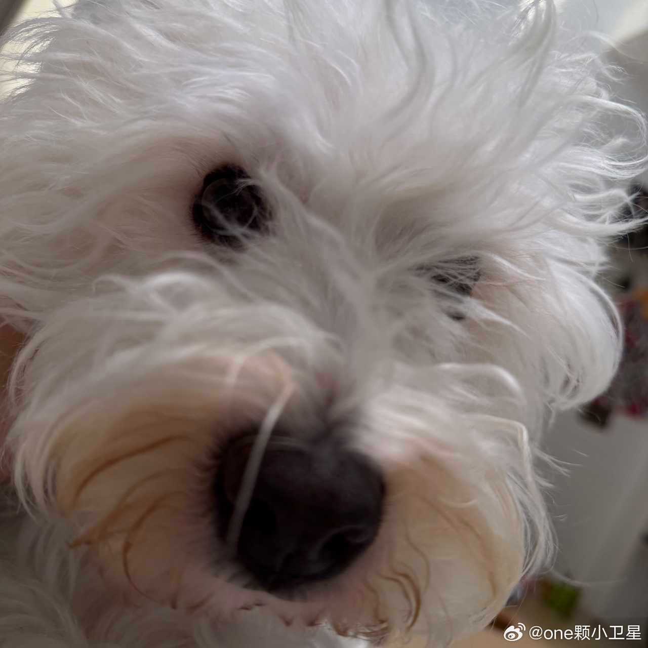 #王奕[超话]# 
260824一一宝宝粉丝群消息 ​
