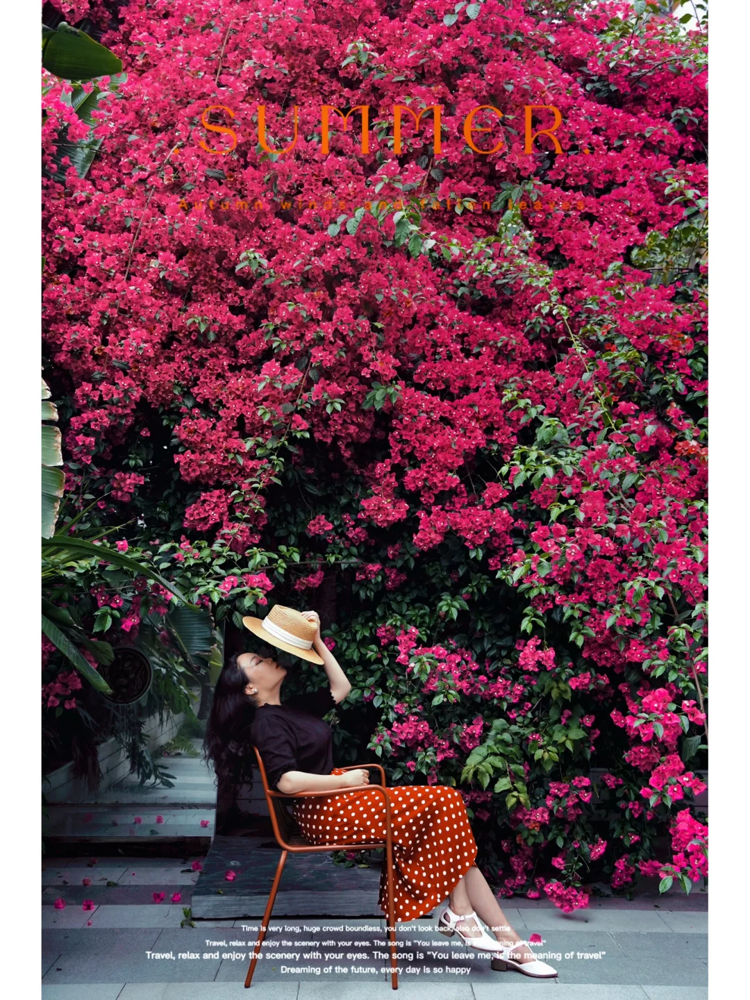 终于等到复古红三角梅，这是我成都的浪漫