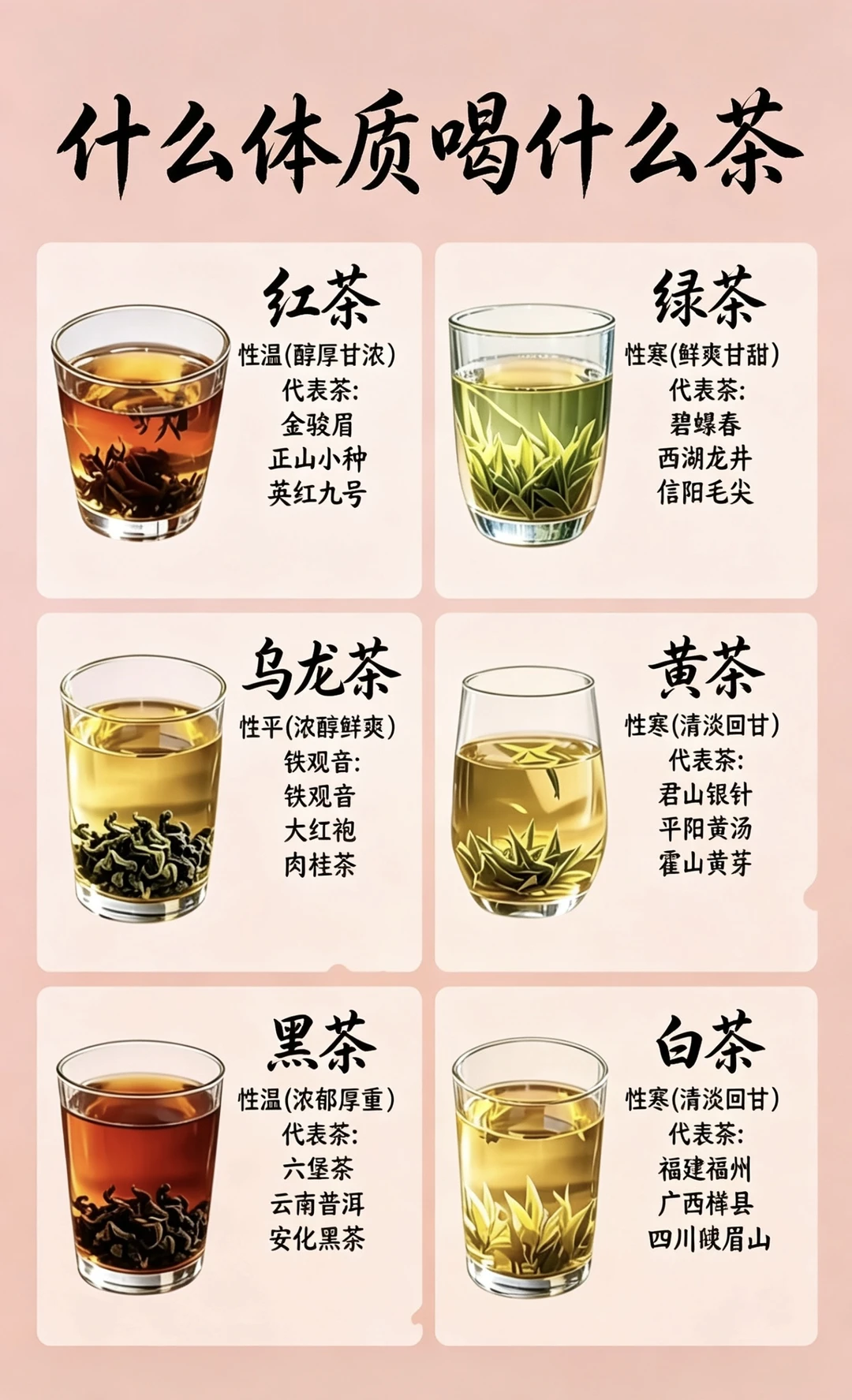 什么体质喝什么茶｜六大茶类通俗易懂对照表✅