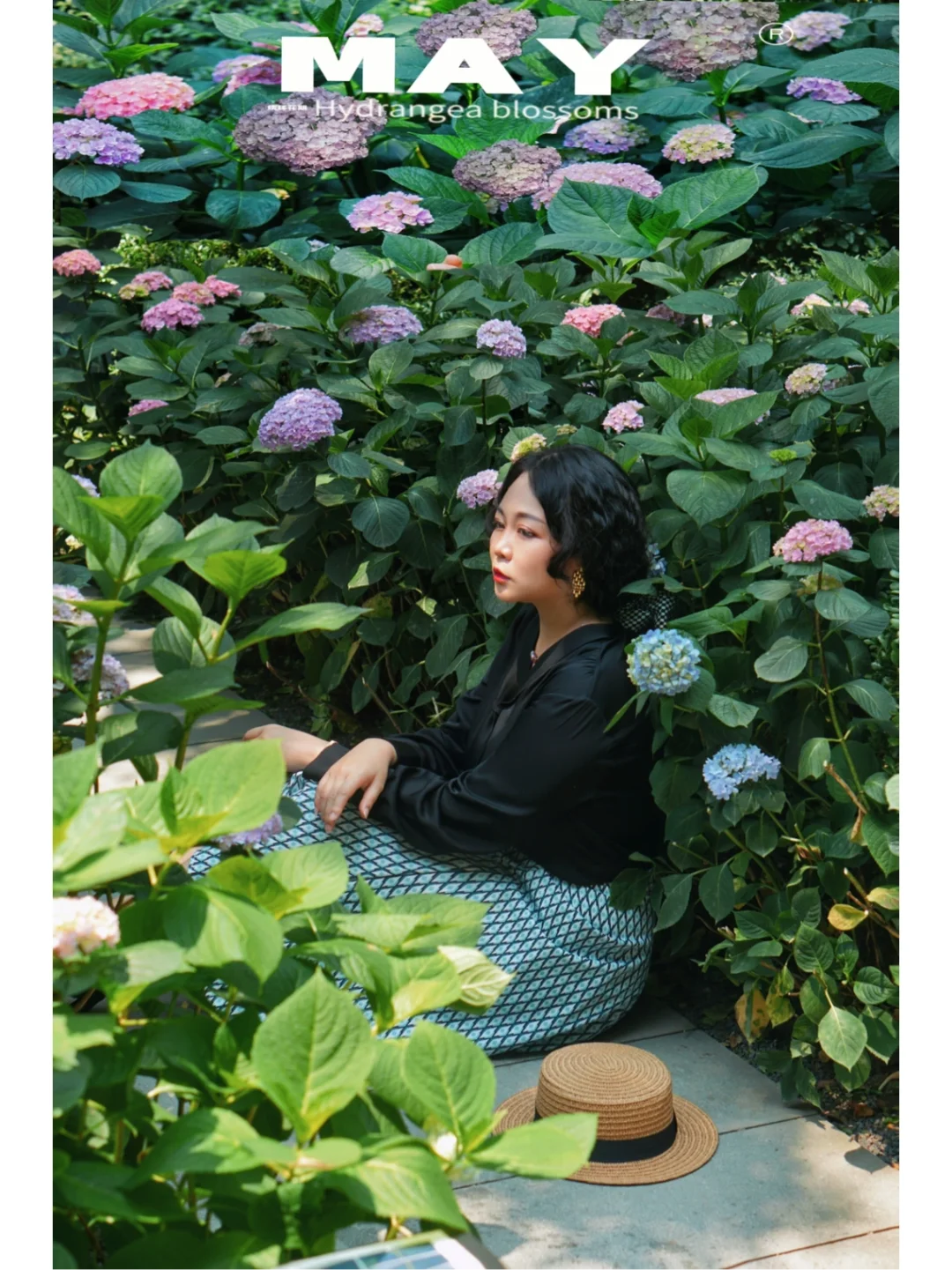 又到绣球花季｜用一个初夏的时光等待花开