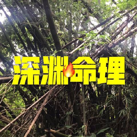 深渊命理