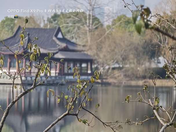 秋意浓🍂