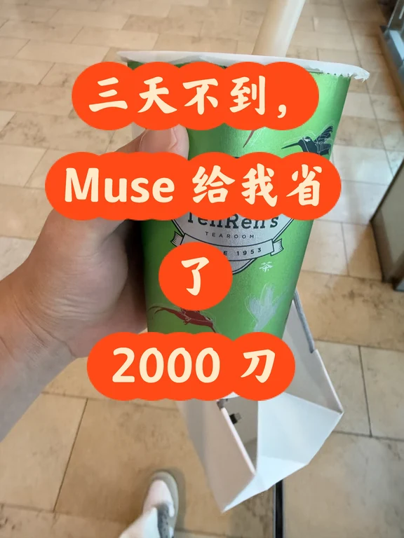 几天时间，muse打底给我省了2k🔪