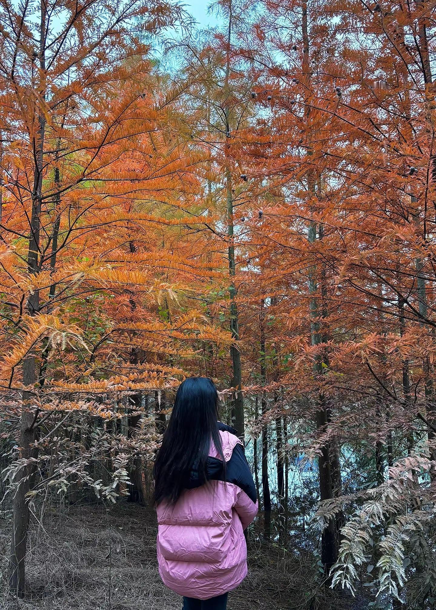 当你把人性看透 你就会喜欢独处 不愿意掺合无效社交 更不会讨好任何人