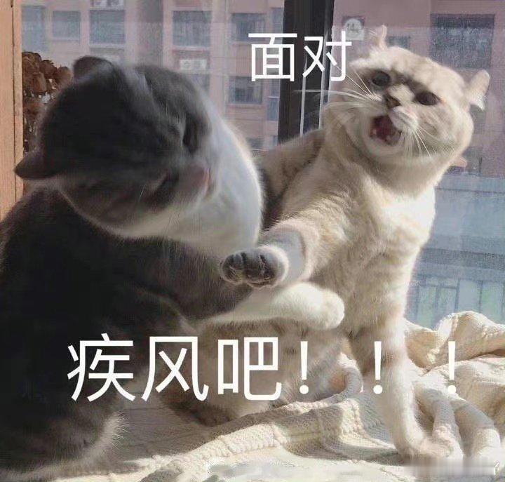 我二十出头那会天天都是破洞裤，冬天也是破洞裤，好多年没穿了，最近买了一条很喜欢的破洞裤我朋友说现在咋穿的这么S，我问咋了，她说破洞牛仔裤里配白丝太S了，真尼玛那他妈是老子的腿！腿！腿！光不出溜的腿[怒骂][怒骂][怒骂][怒骂][怒骂][怒骂][怒骂] ​