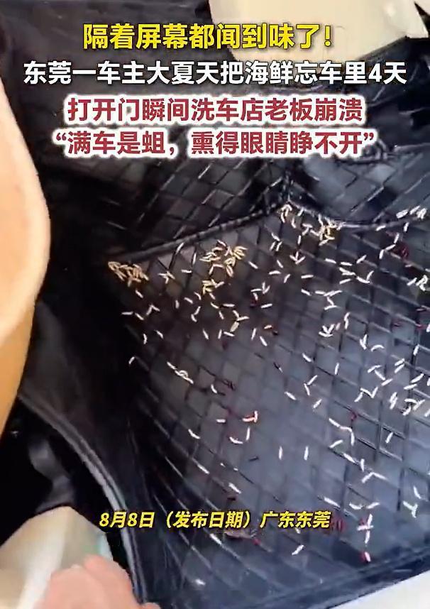 近日，广东东莞，车主大热天把海鲜忘车里4天，打开门瞬间，洗车店老板...