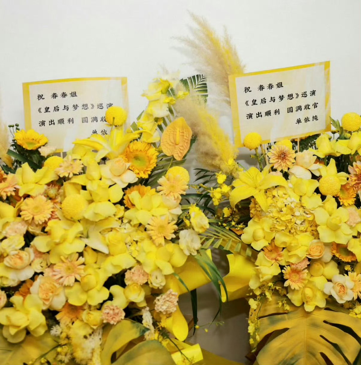 单依纯给李宇春演唱会送的花篮单依纯