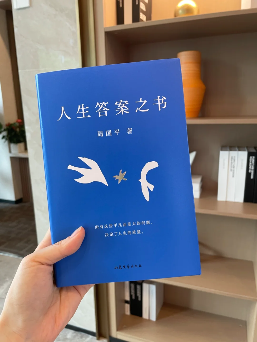 人生答疑解惑全书，不走弯路不迷茫不焦虑！