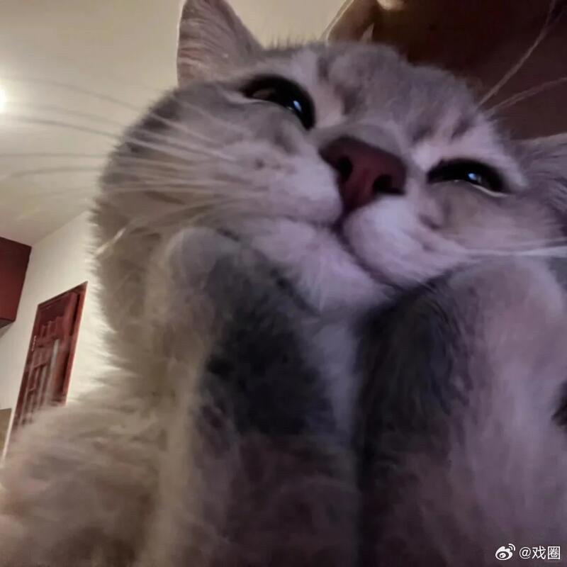 本来对城市灯光秀早就审美疲劳，这个脑洞改造直接让我想专程过去游玩一趟！ ​​​