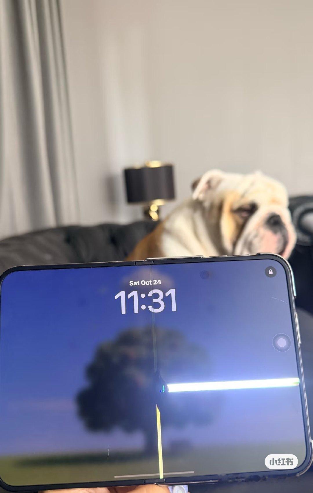 怎么今天看到更多 iPhone Duo 屏幕出问题的了，而且基本都是同一个地方。

看起来像是第三方保护壳给顶的？ 

#iPhoneDuo屏幕开裂# ​
