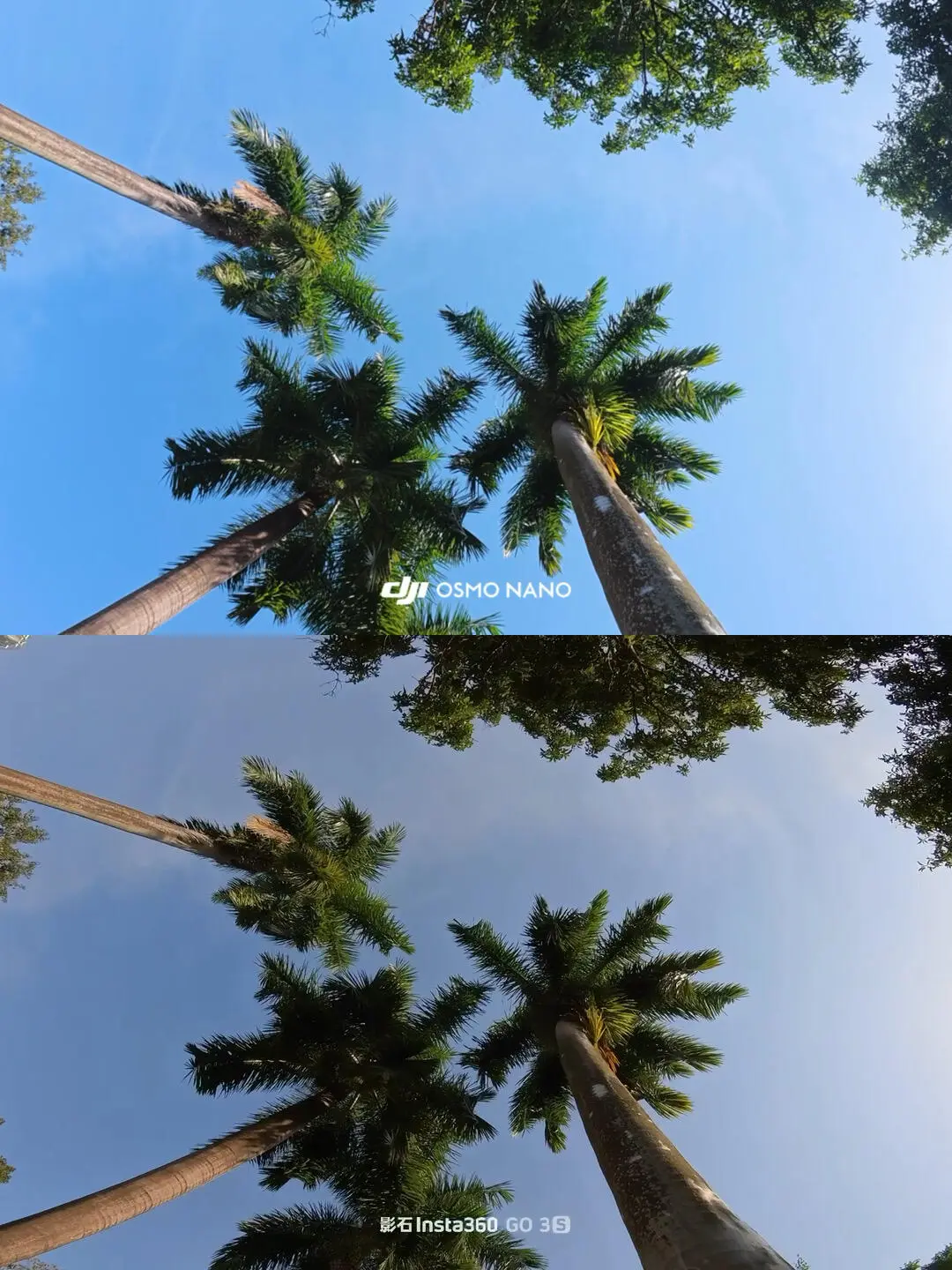 DJIosmo Nano🆚insta Go3s