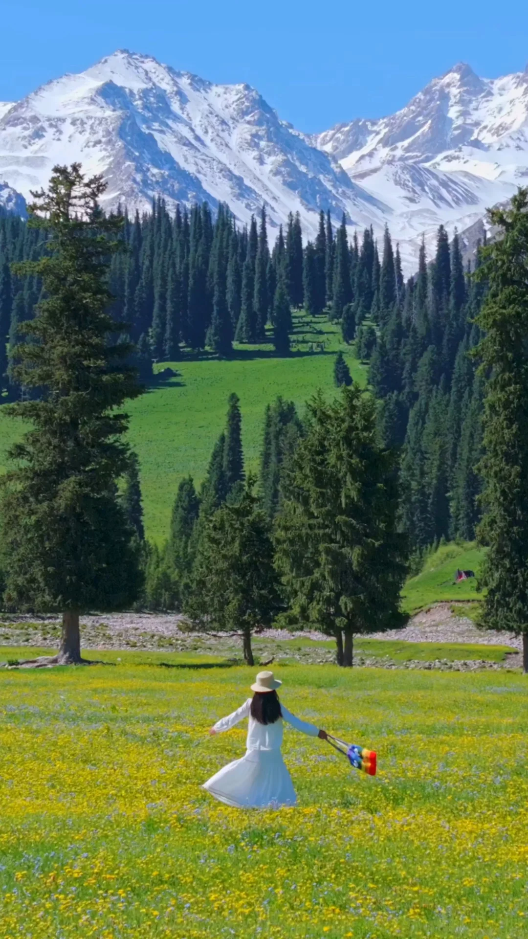 花海live图，我永远不会删除的治愈瞬间