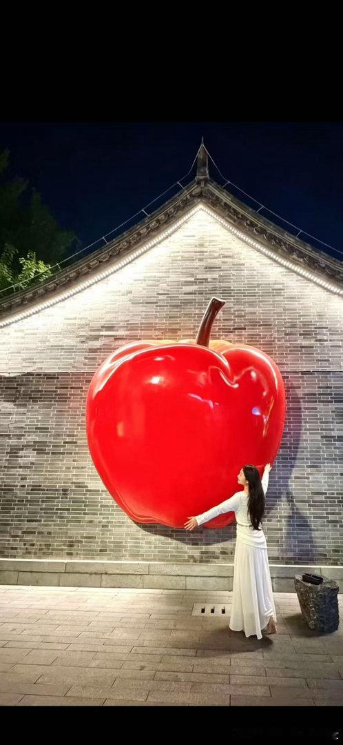 幸福的秘诀是：拥有苹果时 只在意苹果🍎⌯ ⁺  ​
