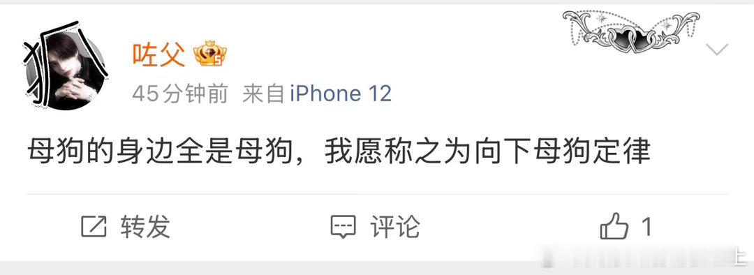 来自机型iPhone12的小朋友你好我记得我好像没惹你吧然后就是我是那个母狗帮帮主 ​