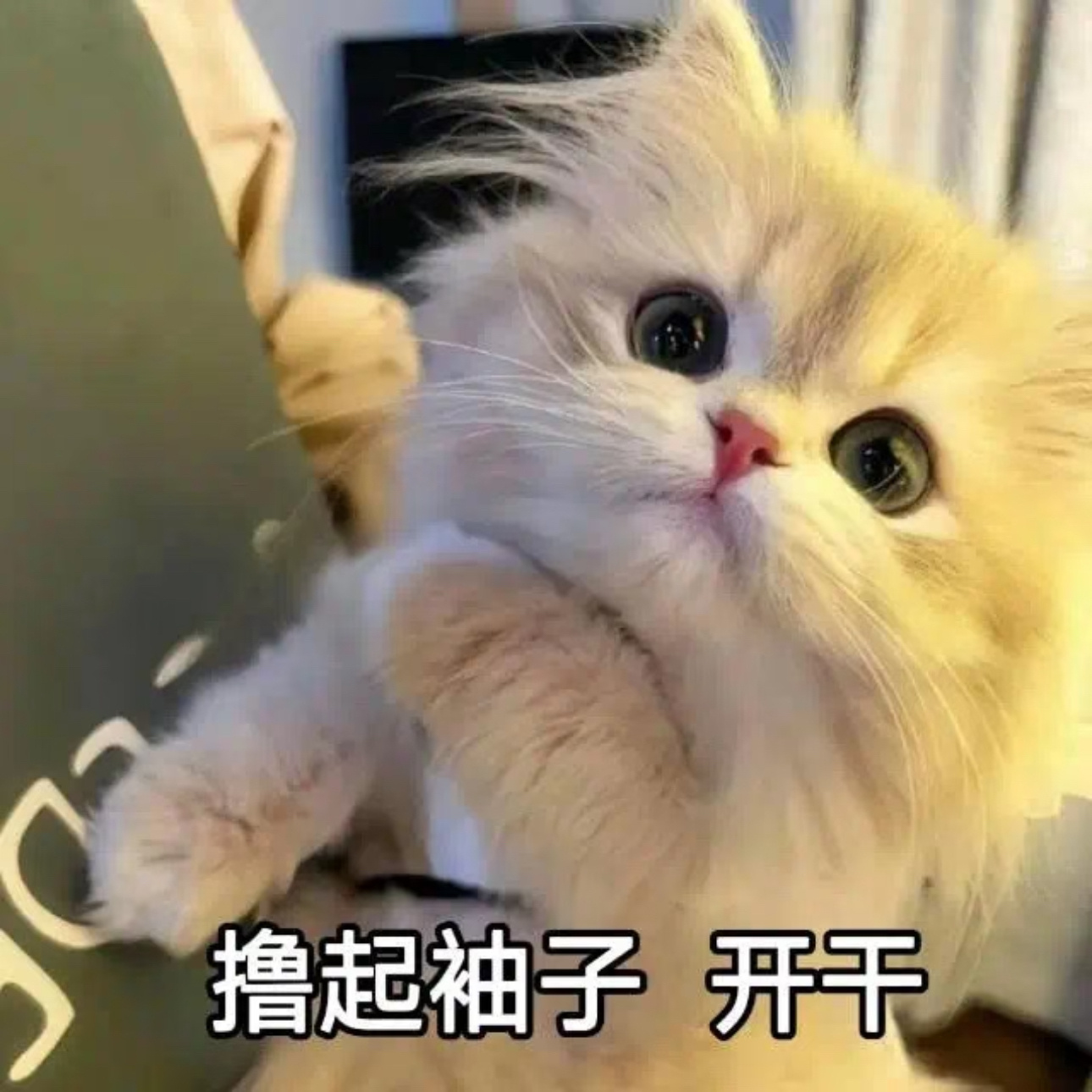 🔥kol和产出给热度zzp1️⃣狗八爷网页链接2️⃣妮凰阿玛网页链接...