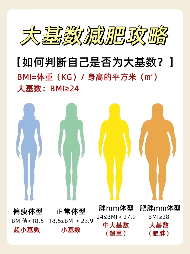 大基数减肥干货🔥饮食+运动安排❗️