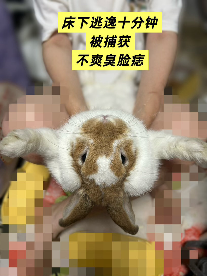 过节过得好累下次再过