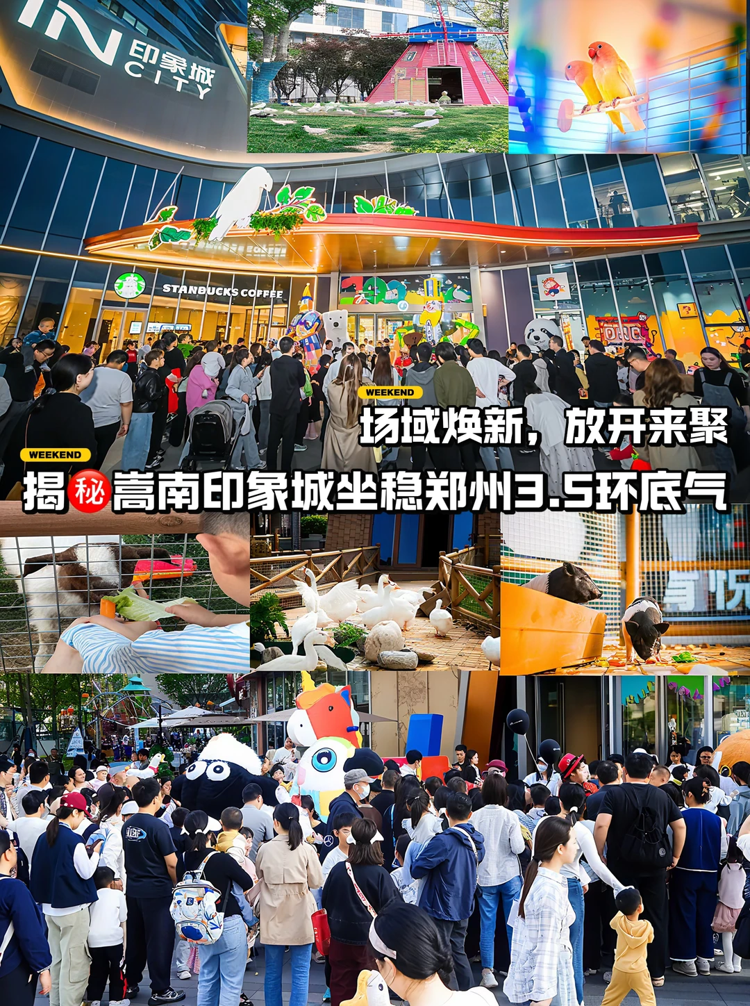 渐入佳境！揭㊙️嵩南印象城坐稳3.5环的底气