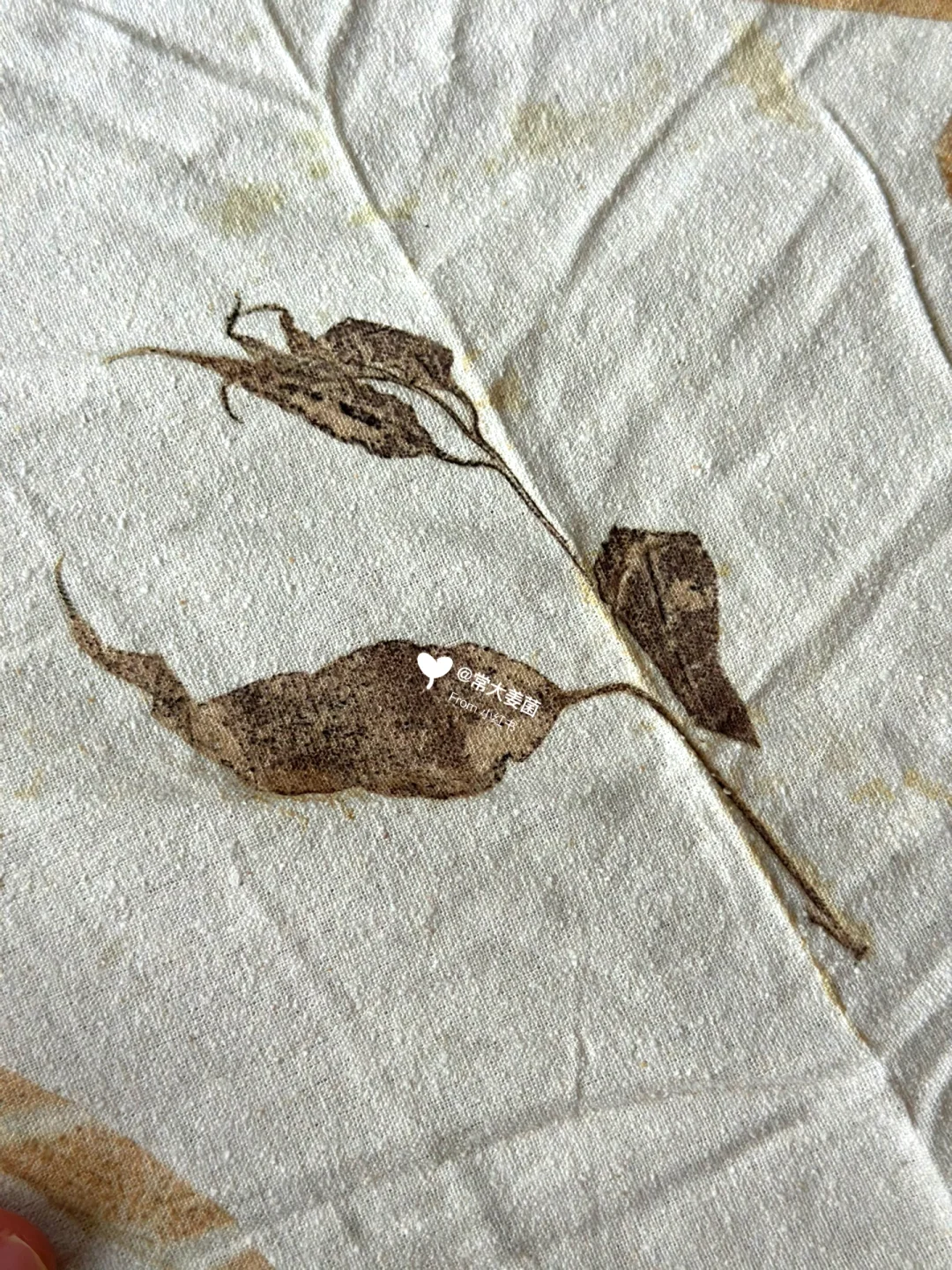 终于！😭我染出了几近完美的纹样🌿🍂🌷