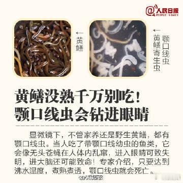 【这些食物千万别生吃！体内可能长出虫子】#吃生的三文鱼肠道里面长满了寄生虫#①一只福寿螺可藏寄生虫600条；②没熟的黄鳝里的颚口线虫会钻进眼睛；③小龙虾体内可能携带肺吸虫；④淡水生鱼片有肝吸虫；⑤吃不熟的牛排，或可长出1米多绦虫；⑥吃未熟涮羊肉可感染弓形虫；⑦荸荠皮或有姜片虫……千万别 ​