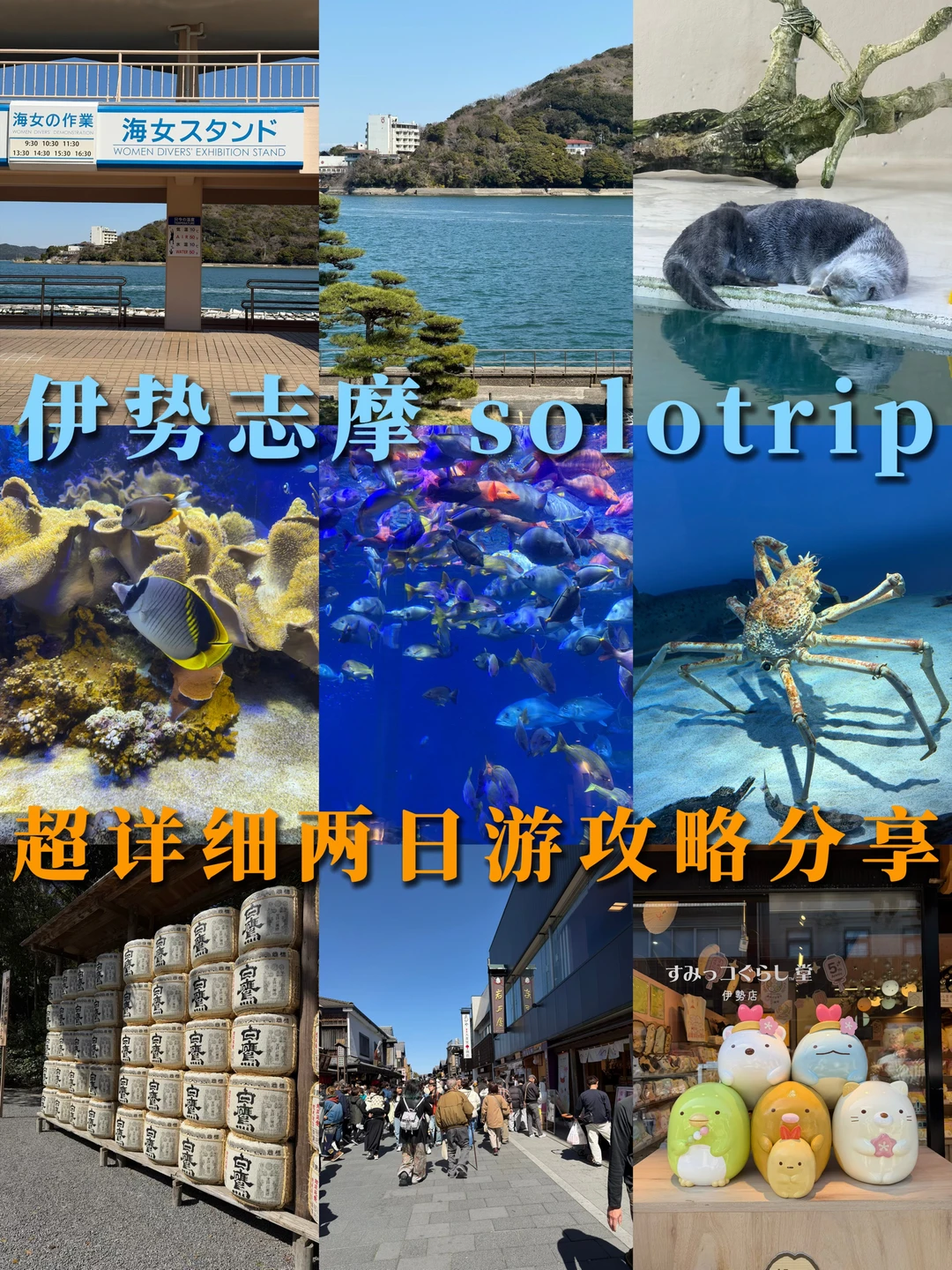 伊势志摩solo trip🐬超详细两日游攻略分享