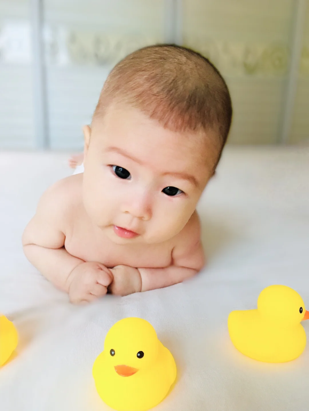 diy百日照第二波