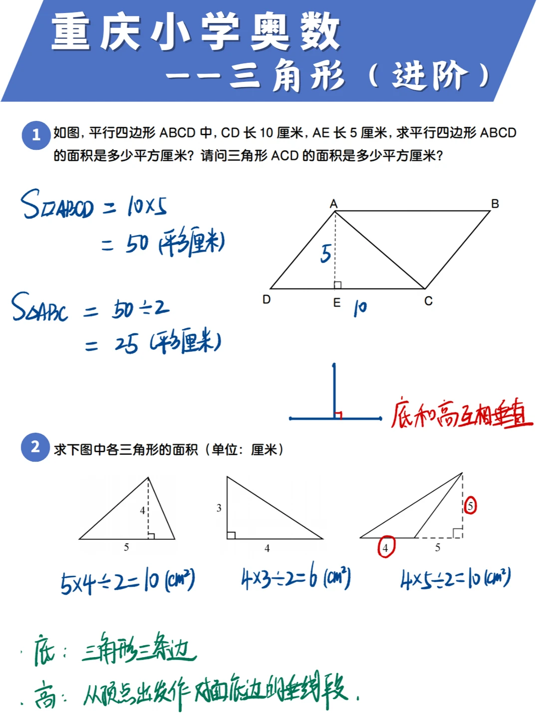 快码住😭小学三角形要考的点都在这了❗❗
