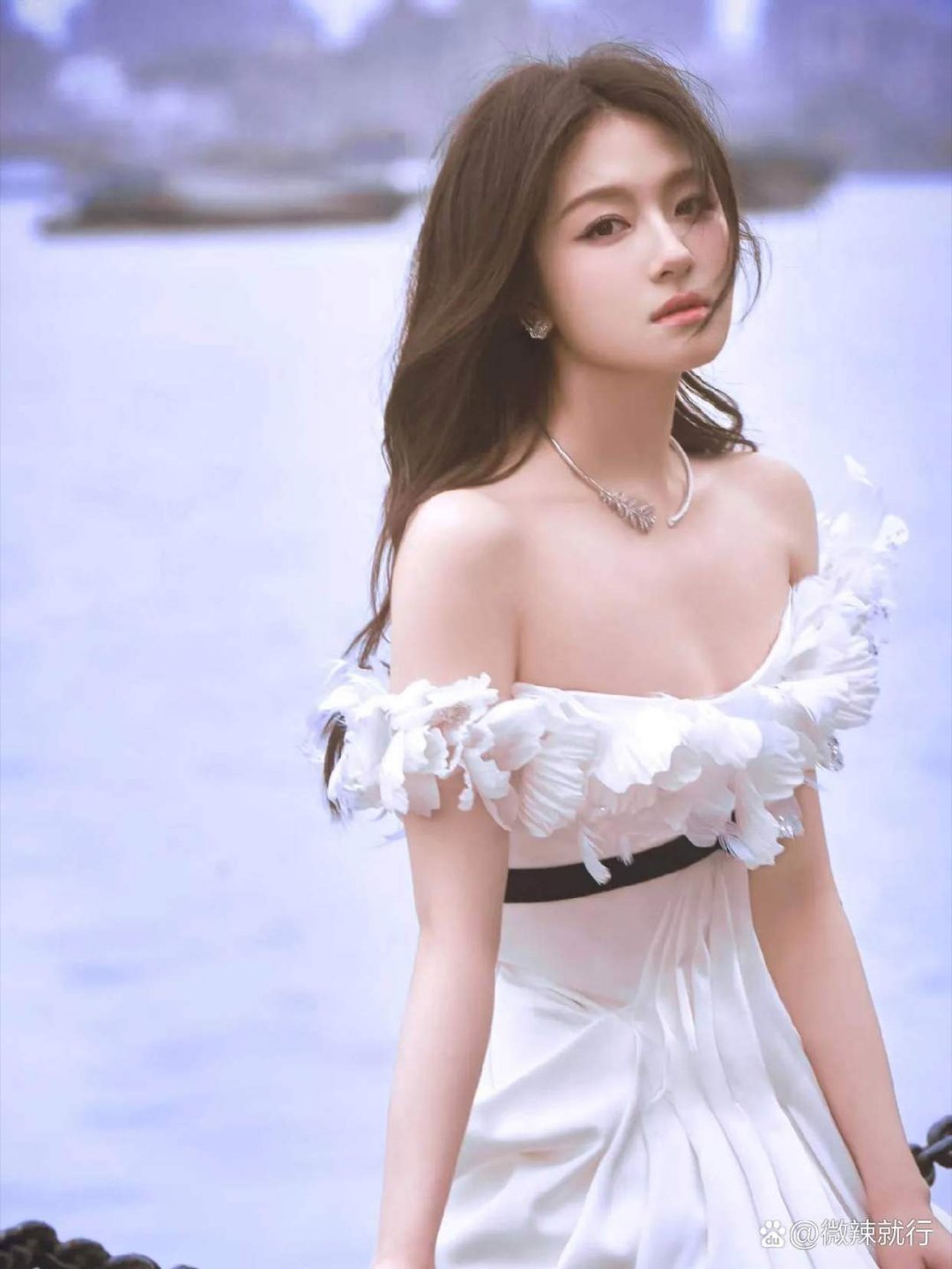  李兰迪在奢侈品店里跟柜姐还价，柜姐转头就发到网上，还嘲讽她掉价。 ​