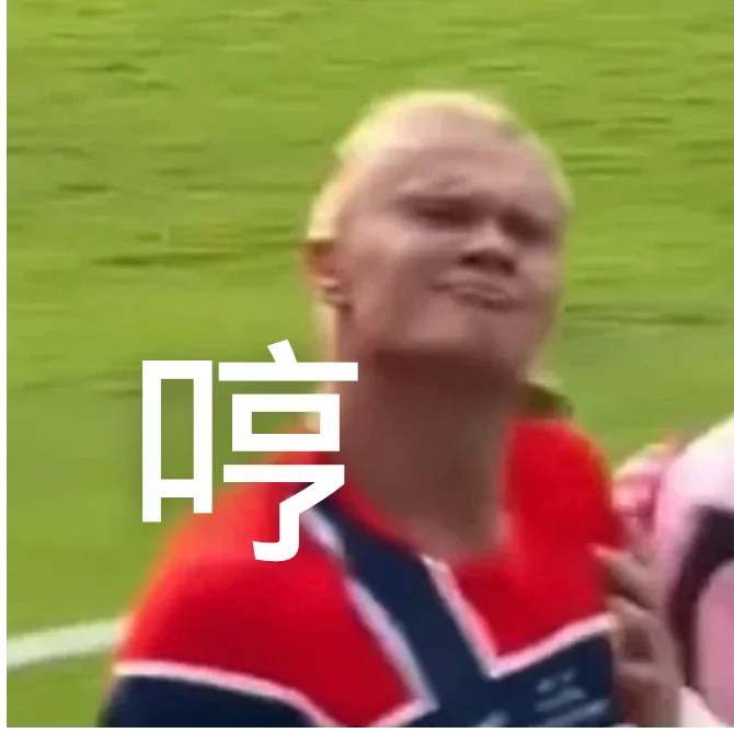 哈兰德每一帧都是表情包!