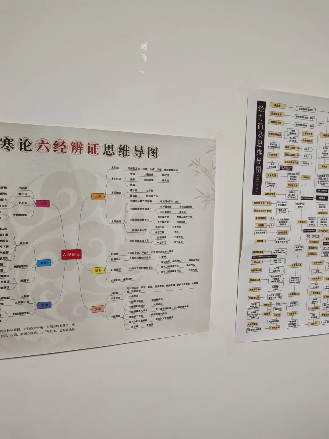 医学生中医伤寒论辩证及思维导图