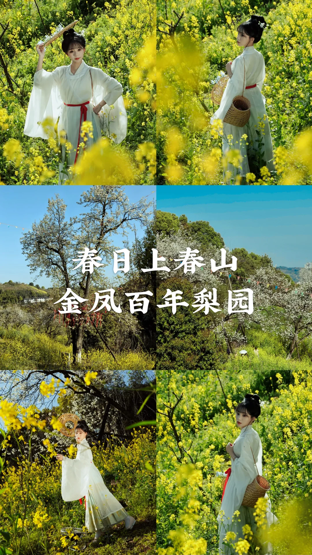 上春山，30分钟直达的春日童话世界‼️🌈 🌼