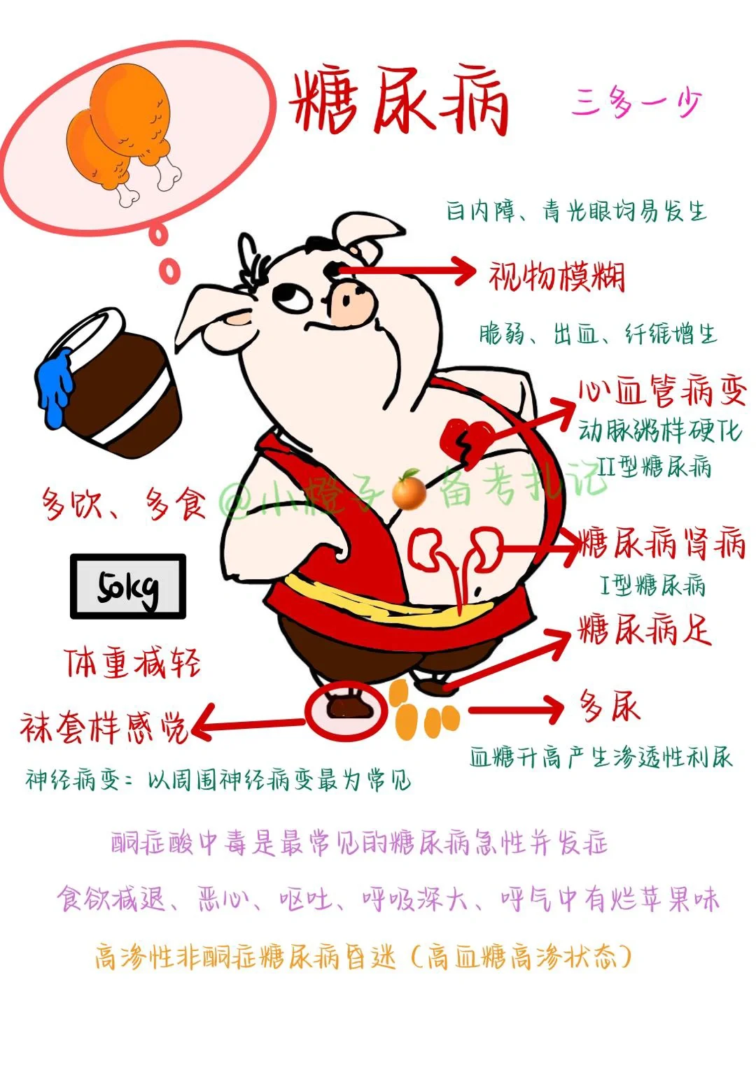 📖护师笔记｜内科护理学｜糖尿病😫