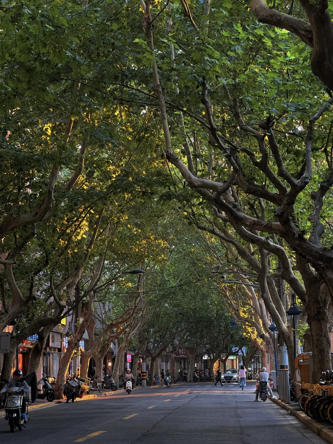 人生建议 | 去过这⑩个地方再离开上海，全🆓