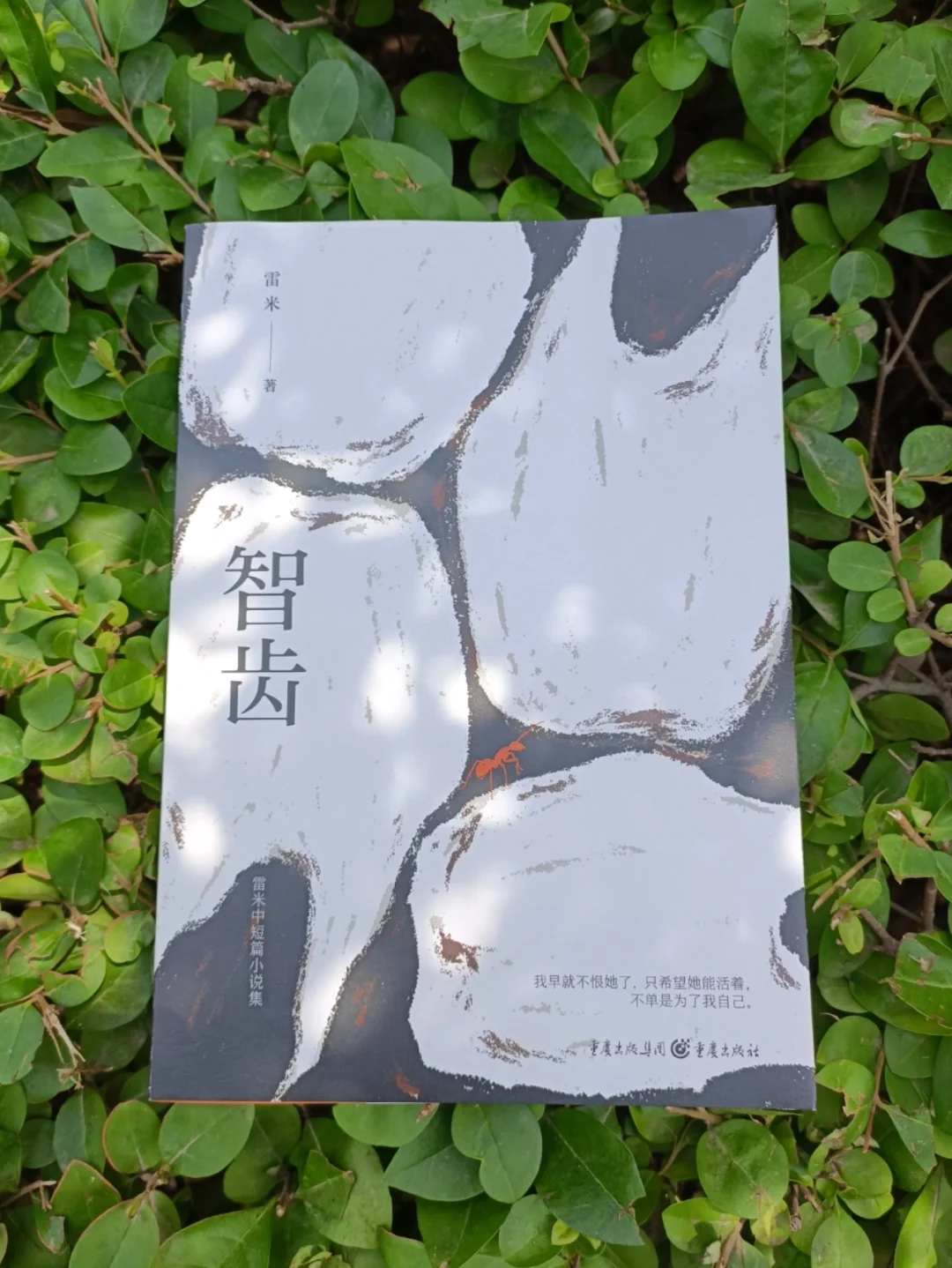 熬夜读完这本犯罪小说，我连智齿都在颤抖！