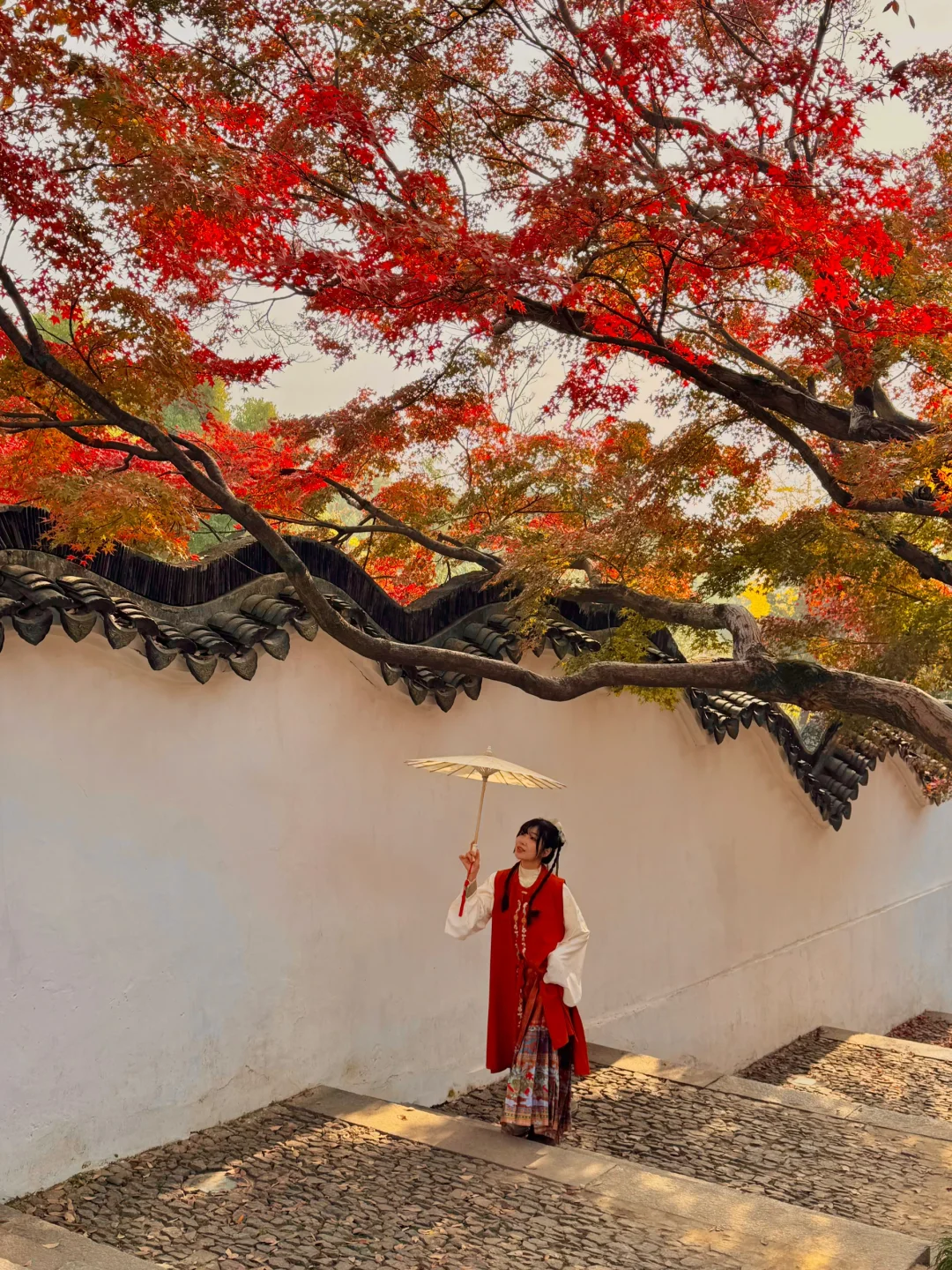 在苏州花得最值的3块💰坐船去虎丘！12.6实况