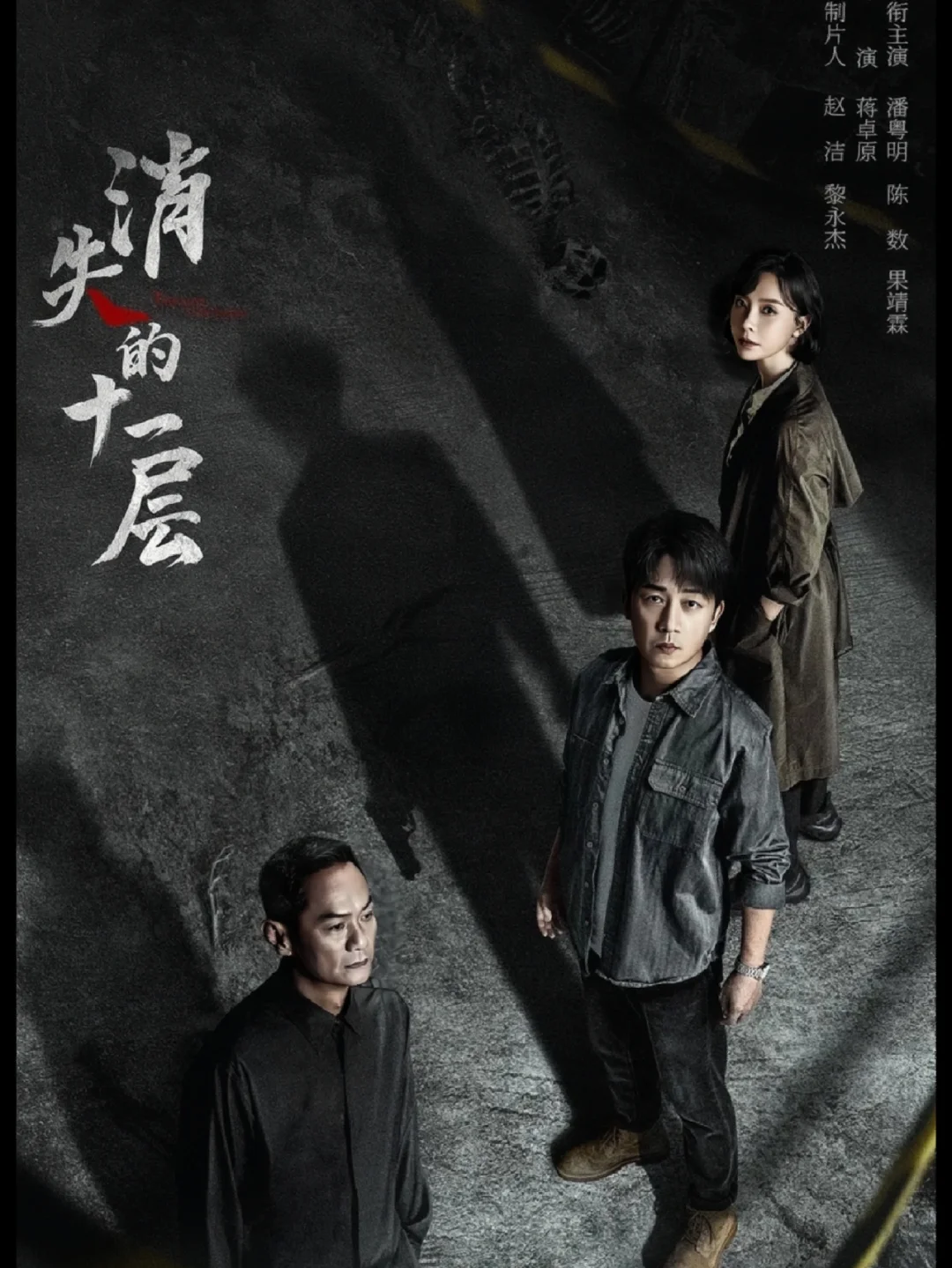 又发现一部悬疑新作❗潘粤明❌陈数❗放大了