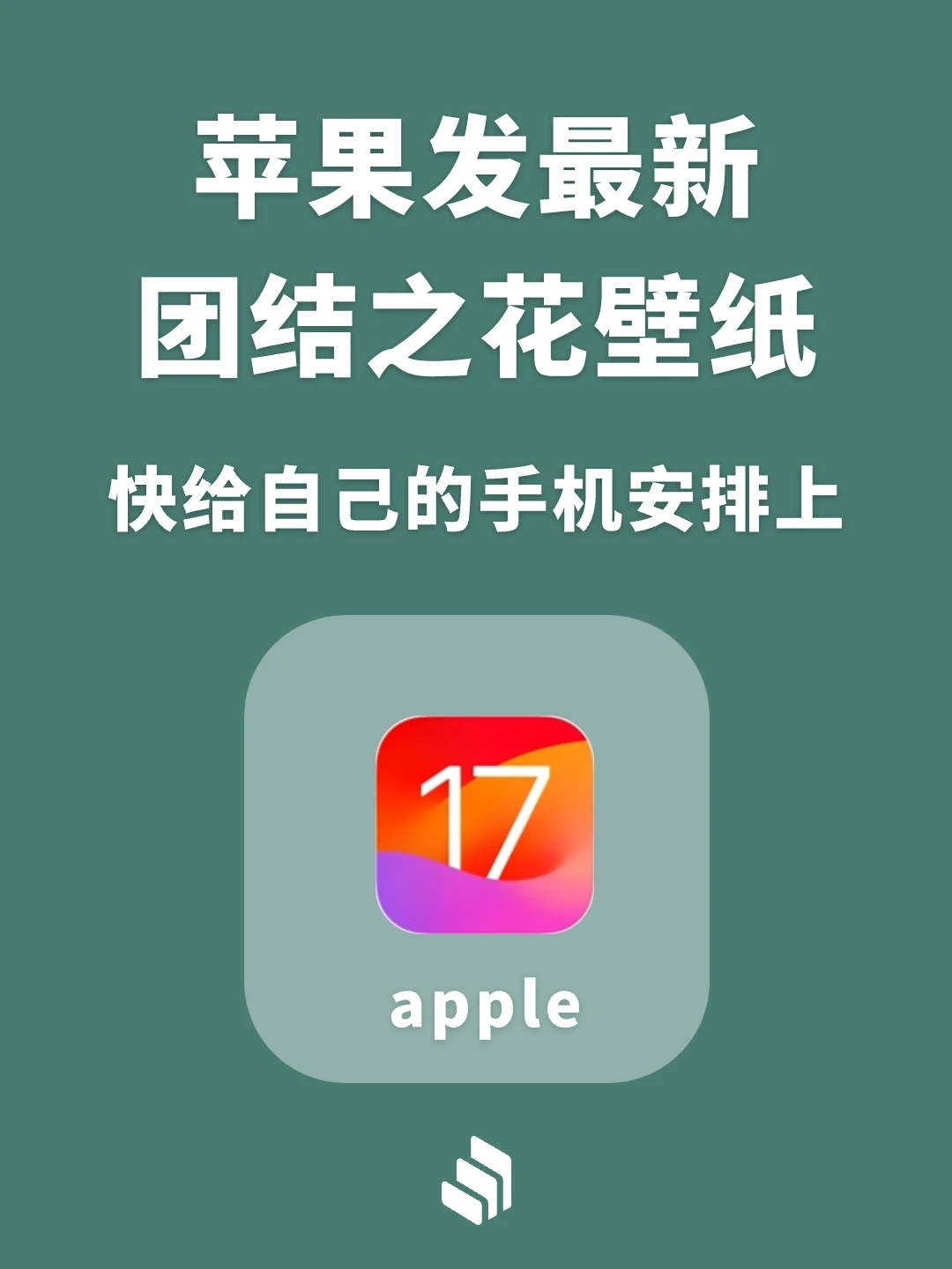 苹果最新团结之花壁纸分享