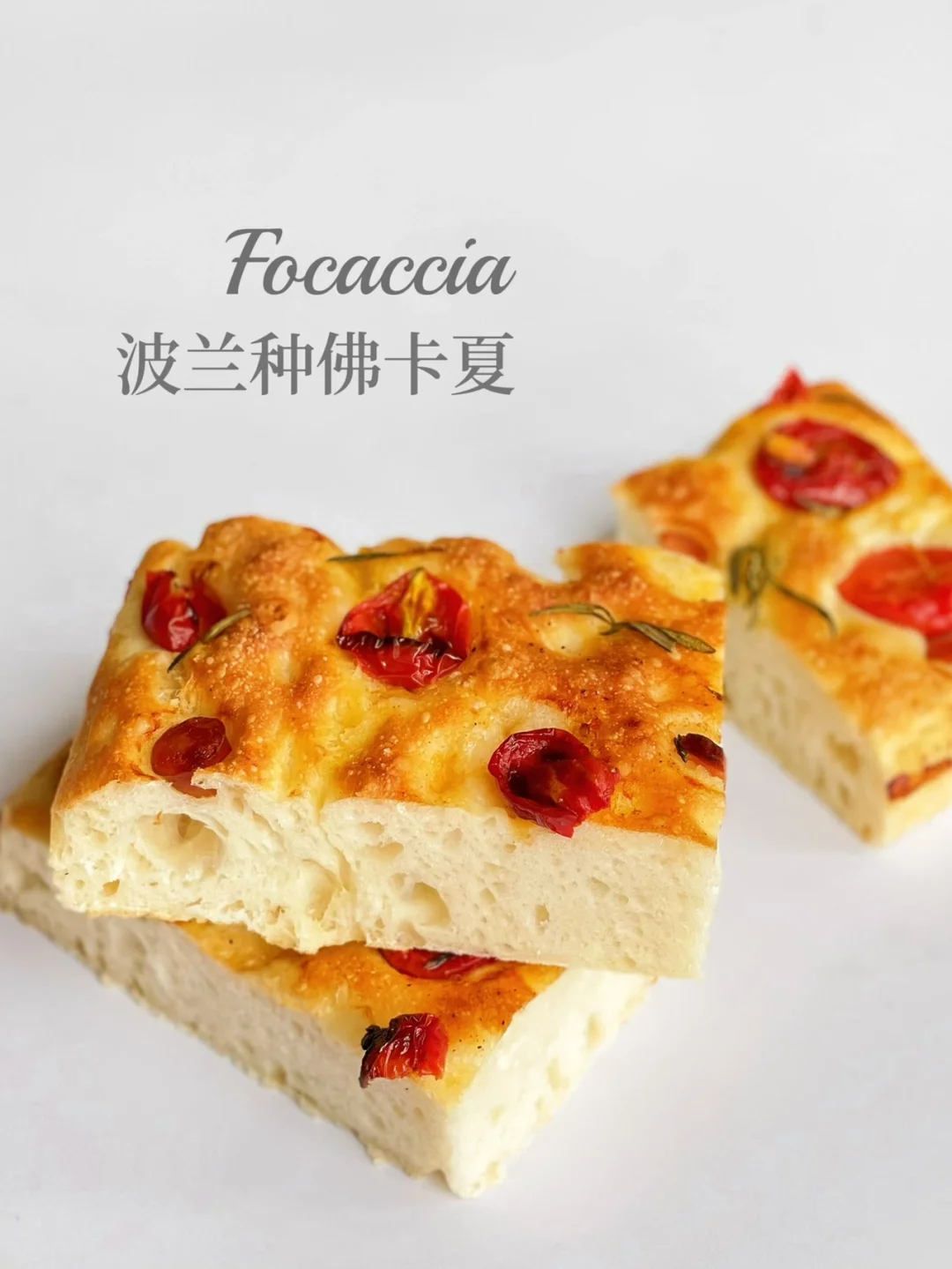 波兰种佛卡夏｜无糖低卡｜一次发酵超快手配方