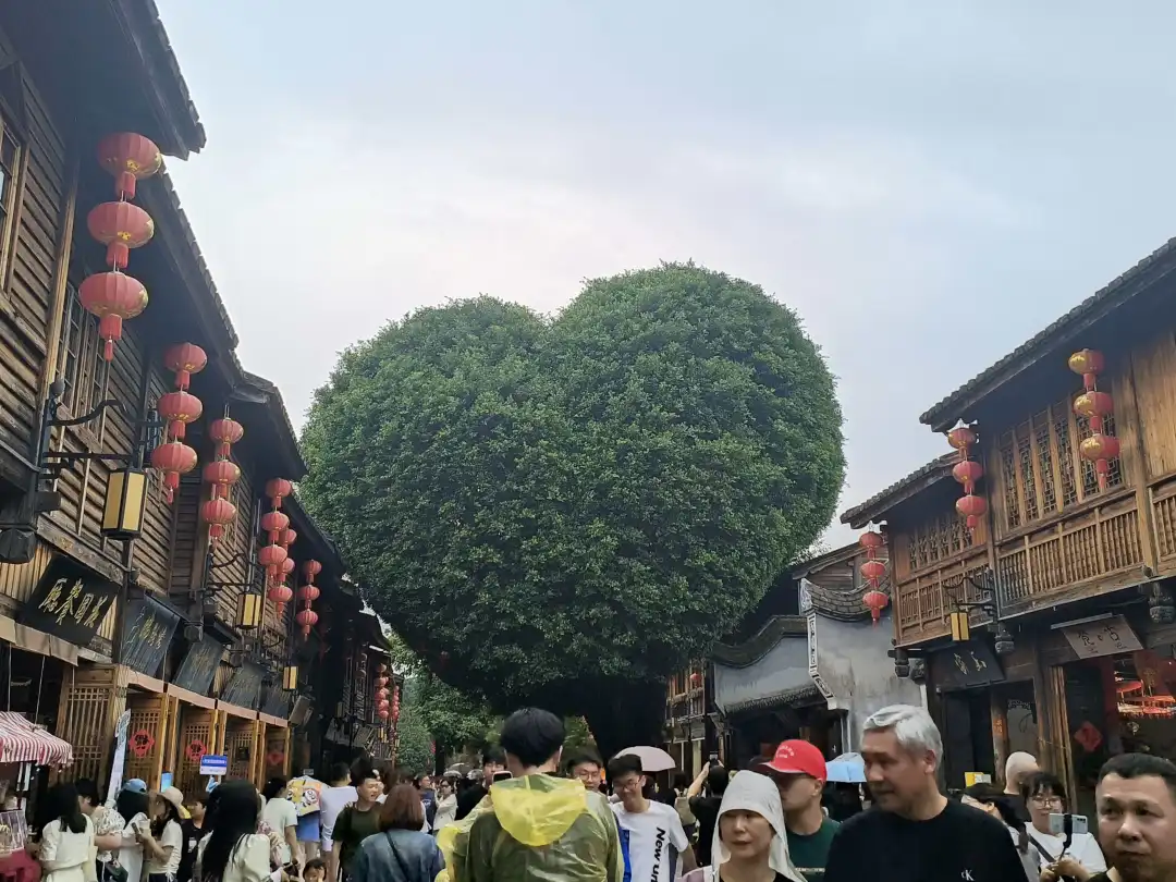 拍到了还没剔除的爱心树？？！