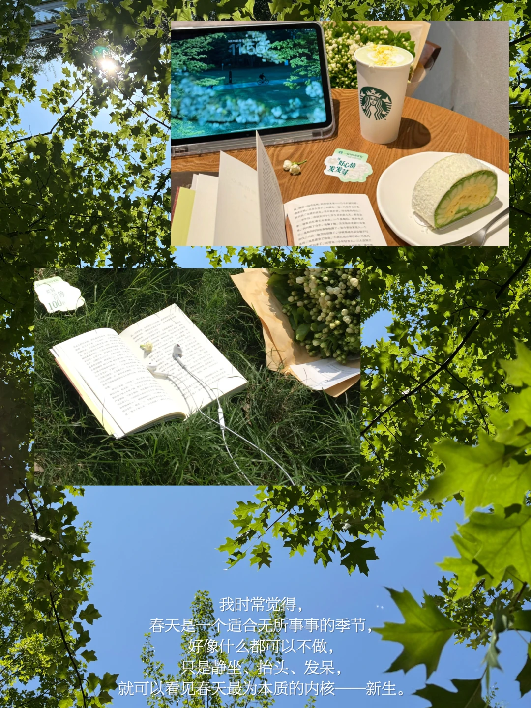 我重新发芽、长出枝叶，成为春天的一部分